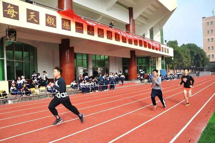 动感与活力！室外体育健身器材场地的运动元素设计