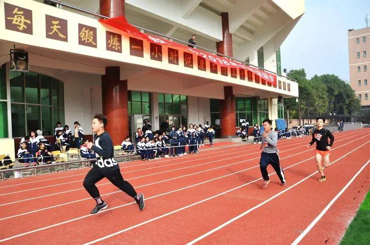 网球拍带线哪种好用点